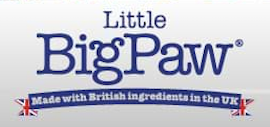 Little Big Paw